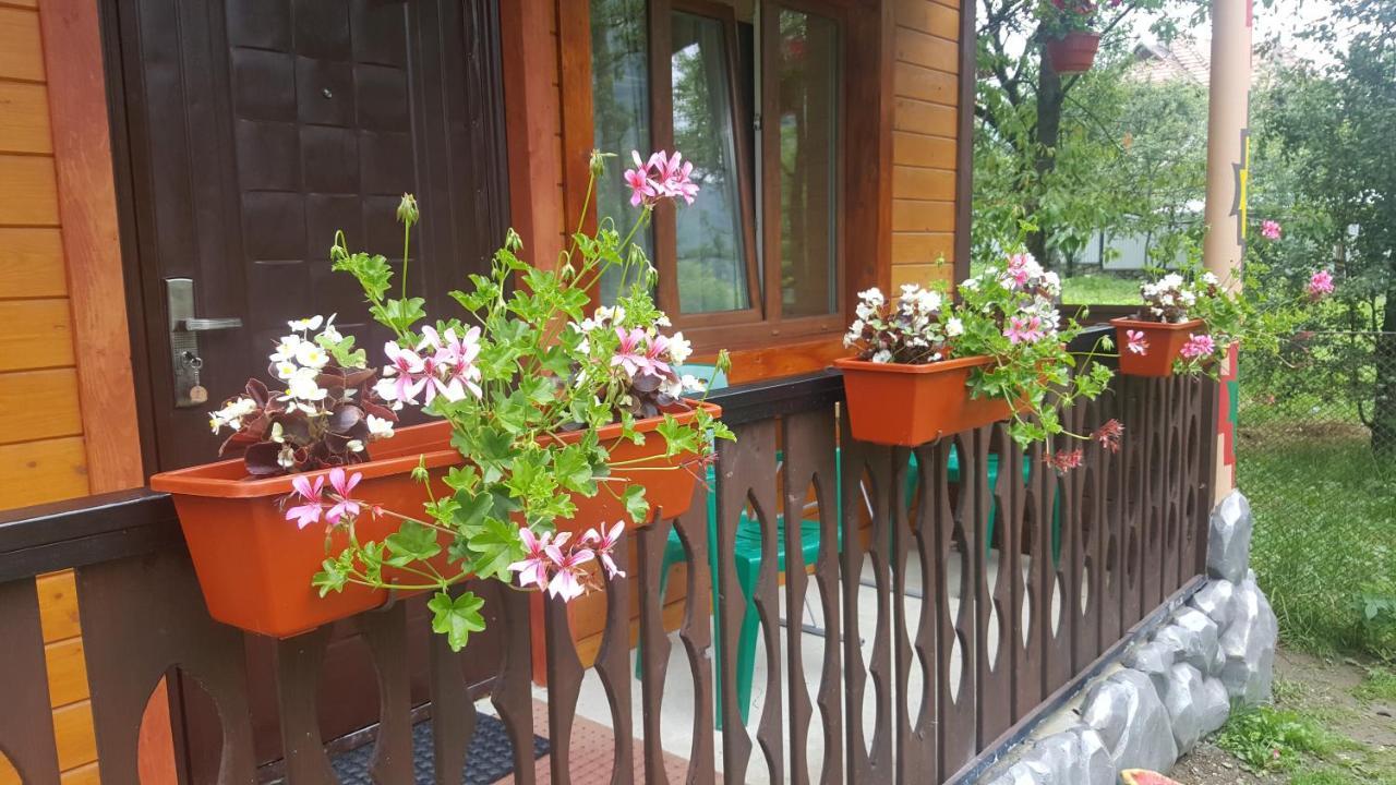 Садиба Гуцулка Ксеня Jaremtsche Exterior foto